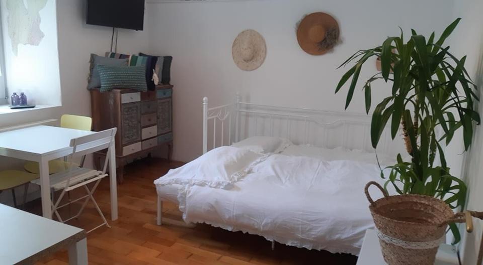 Apartamento Little Garden Piran Exterior foto